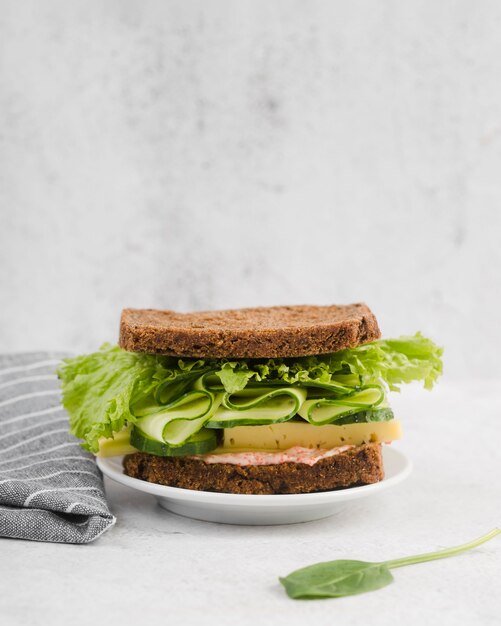 Plato con sabroso sandwich