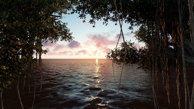 Playa al atardecer con arboles