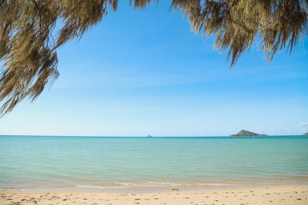 Playa con árboles rodeada por el mar con colinas bajo la luz del sol en el fondo