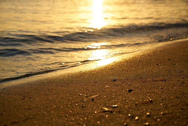 Playa de arena al atardecer