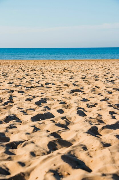 Playa de arena cerca del mar azul