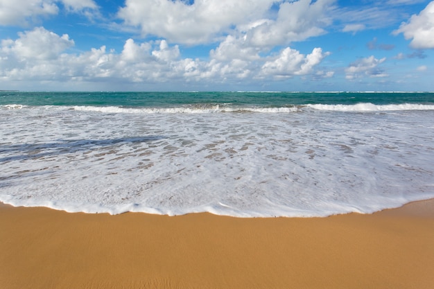 Playa caribeña con cielo azul
