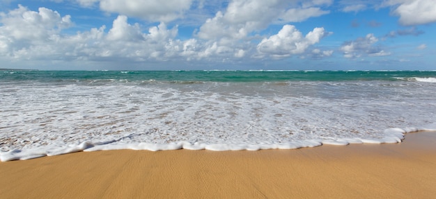 Playa caribeña con cielo azul