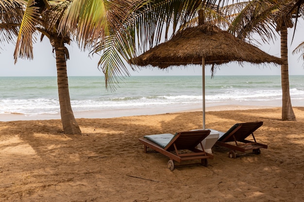 Playa en Gambia con sombrillas de paja, palmeras y sillas de playa con el mar al fondo