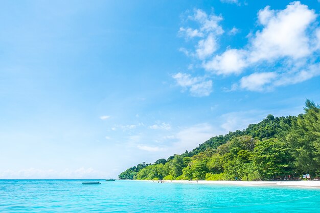 Playa idílica con árboles