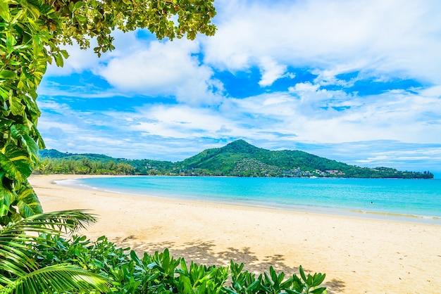 Playa y mar tropical