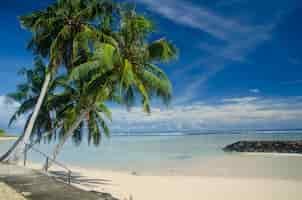 Foto gratuita playa rodeada de palmeras y mar bajo un cielo nublado azul en manase, samoa