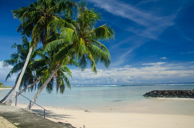 Playa rodeada de palmeras y mar bajo un cielo nublado azul en Manase, Samoa