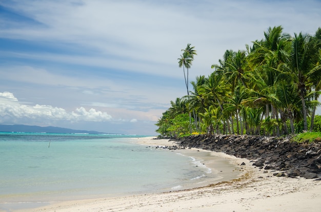 Playa rodeada de palmeras y el mar bajo la luz del sol en la isla Savai'i, Samoa