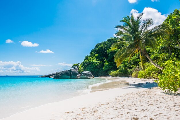 Playa tropical con arena blanca
