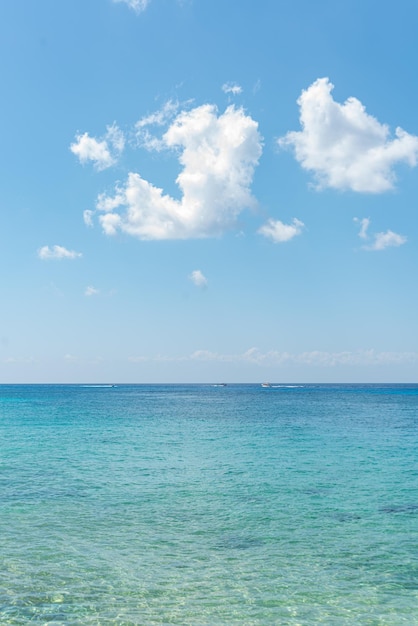 Foto gratuita playa tropical en un día soleado