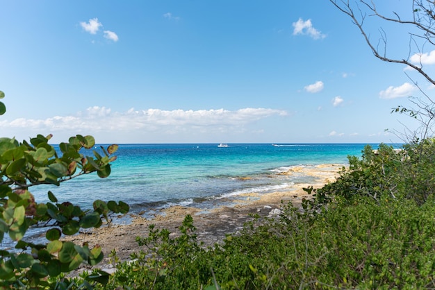 Foto gratuita playa tropical en un día soleado