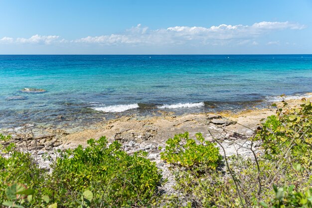 Foto gratuita playa tropical en un día soleado