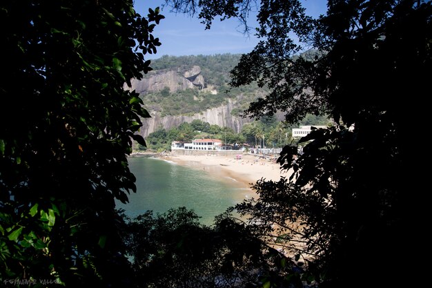 Playa Urca y hojas verdes en Río de Janeiro hojas verdes