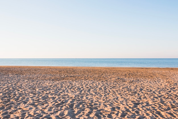 Playa vacía con pequeñas dunas