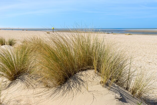 Las playas vacías de la primavera de 2020 # 1