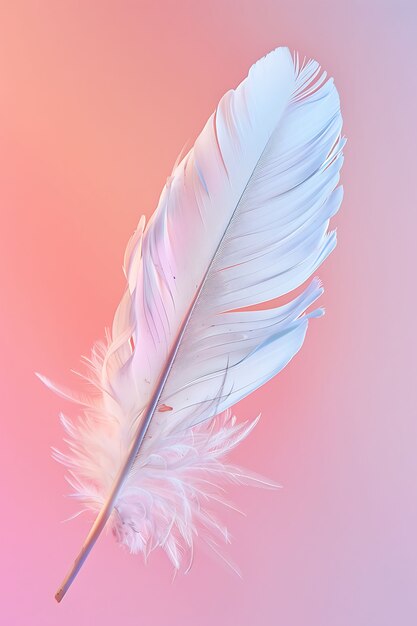 Pluma aislada en el estudio
