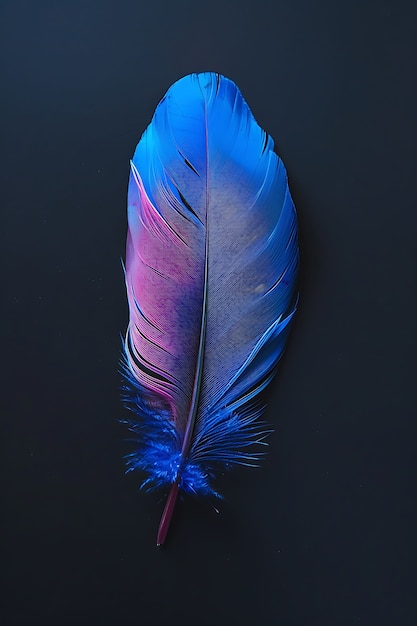 Pluma aislada en el estudio