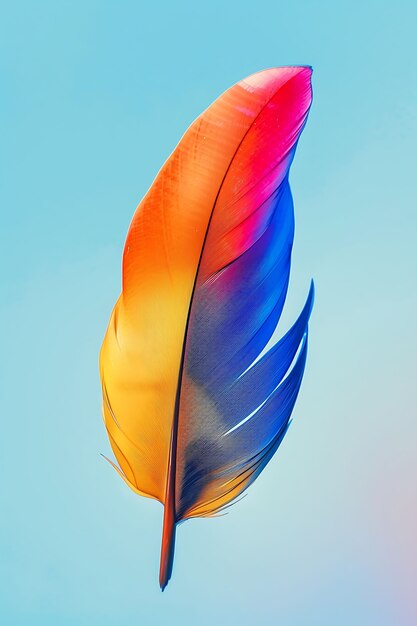Pluma aislada en el estudio