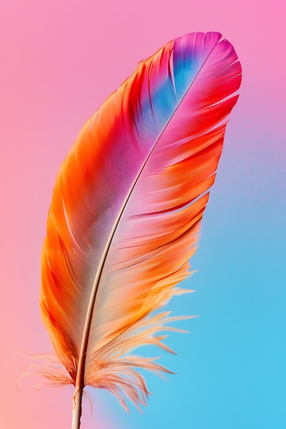 Pluma aislada en el estudio