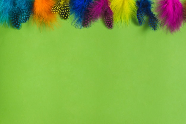 Plumas de colores en la parte superior de una mesa verde