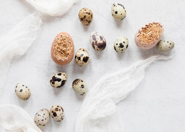 Plumas y huevos de pascua pintados