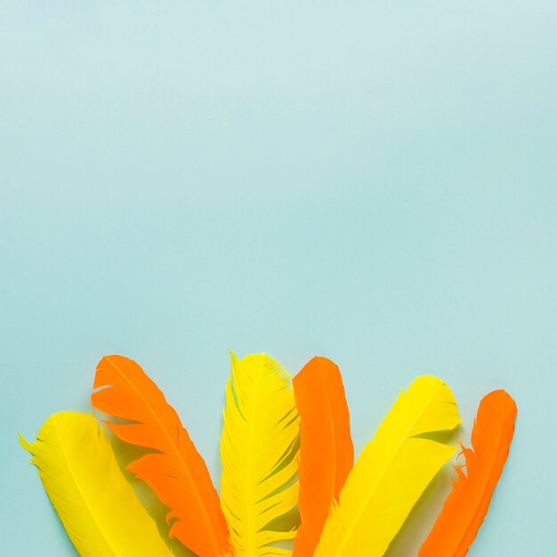 Plumas multicolores para carnaval