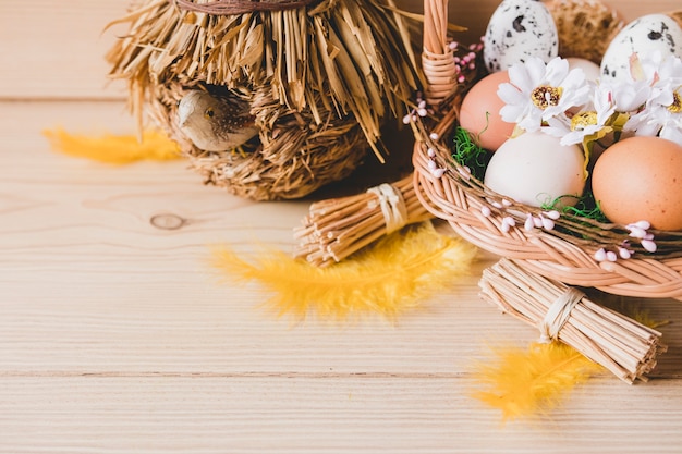 Plumas de primer plano cerca de huevos y choza de pájaros