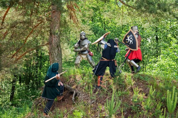 pocos caballeros en la armadura está luchando