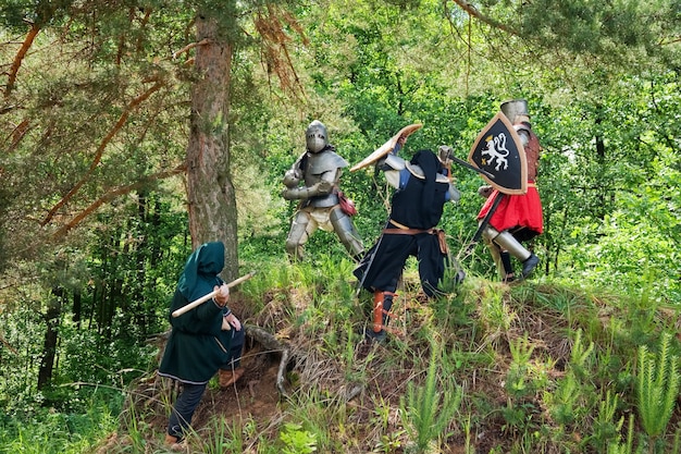 pocos caballeros en la armadura está luchando