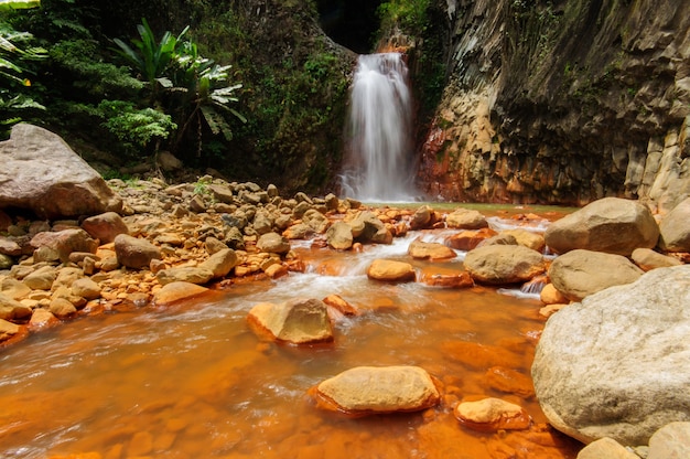 Foto gratuita una poderosa cascada que fluye en el río cerca de formaciones rocosas en dumaguete, filipinas