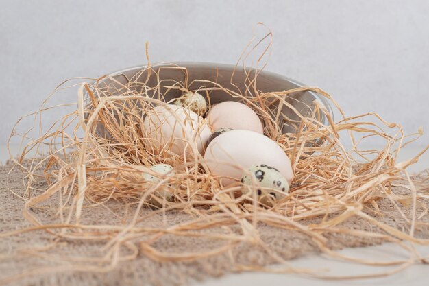 Pollo huevos blancos frescos con huevos de codorniz y heno en placa gris.