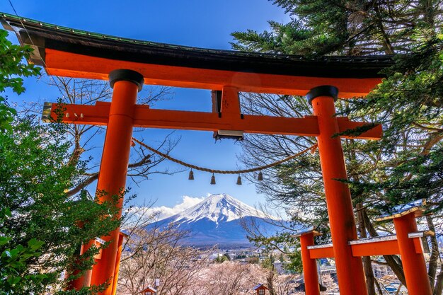 Polo rojo y montañas fuji en Japón.