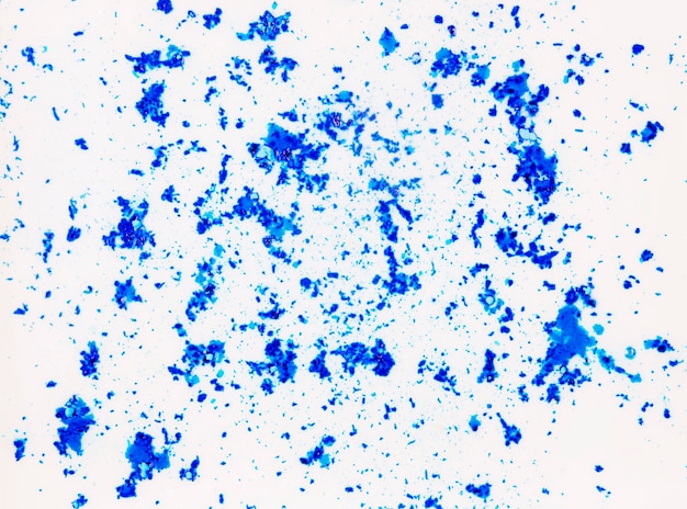 Polvo de color holi azul sobre fondo blanco