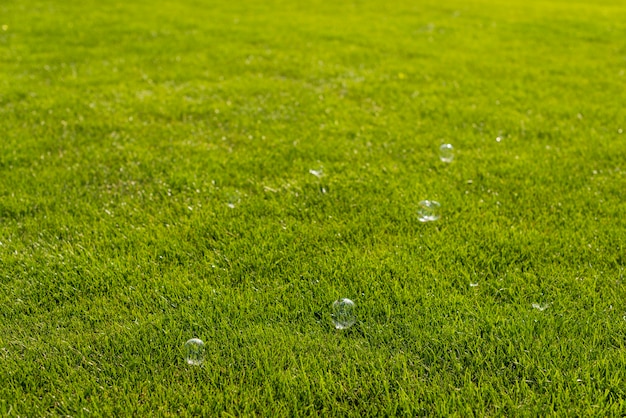 Pompas de jabón en la naturaleza