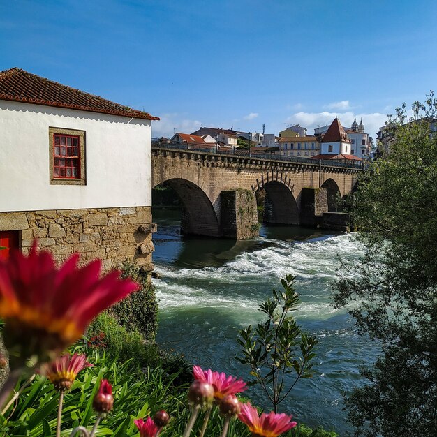 Ponte de Barcelos (Puente medieval de Barcelos)