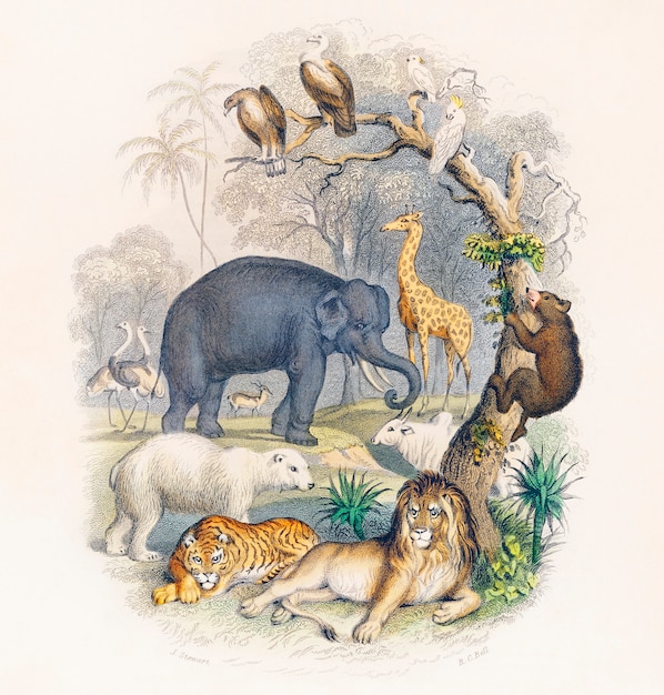 Portada de Una historia de la tierra y naturaleza animada (1820) de Oliver Goldsmith.