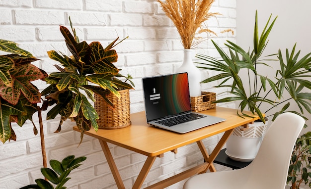 Portátil de alto ángulo en el escritorio con plantas