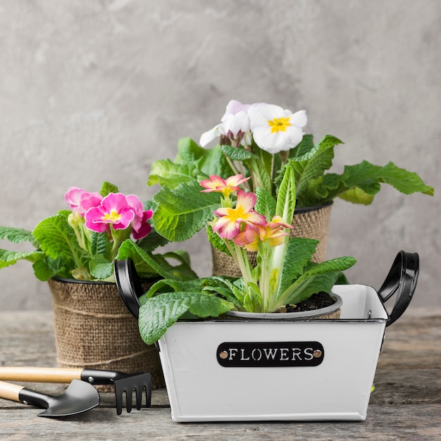 Poste de flores de flor con herramientas de cuidado