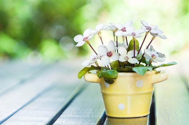 Pote artificial de la decoración de la flor hermosa encima de la tabla para la tarjeta de felicitación