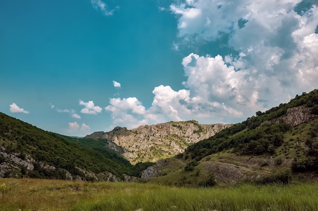 Pradera rodeada de colinas cubiertas de arbustos y árboles bajo el cielo nublado y la luz del sol