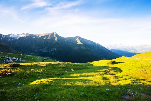 prado de montaña en Pirineos