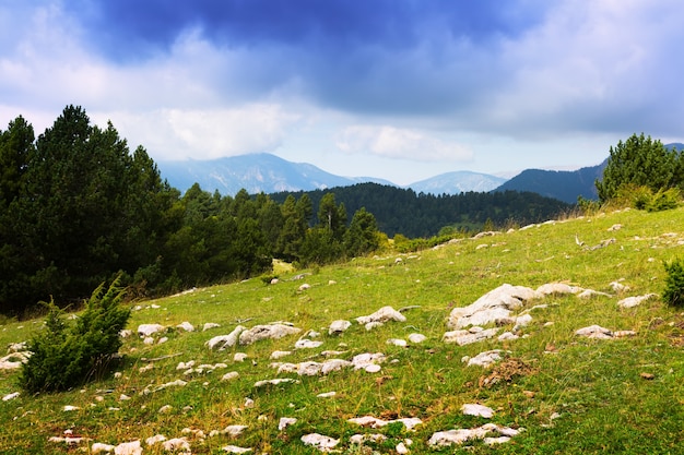 prado de las tierras altas de los Pirineos. Cataluña