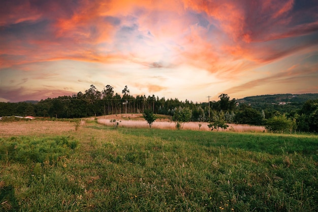 Foto gratuita precioso atardecer en el campo