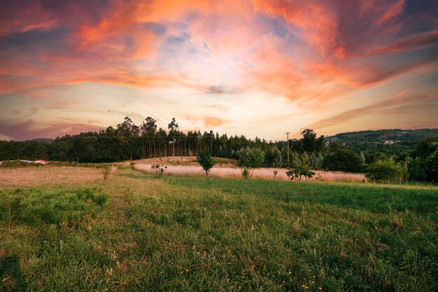 Precioso atardecer en el campo