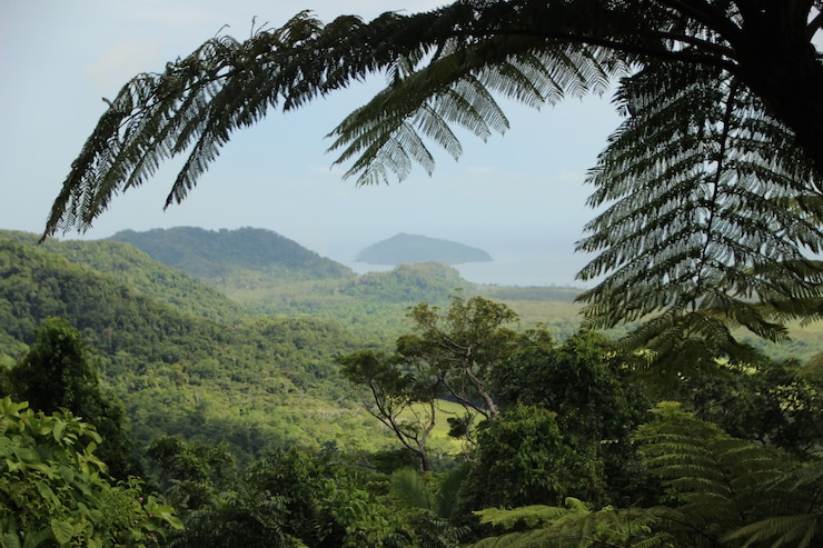 Foto gratuito precioso paisaje