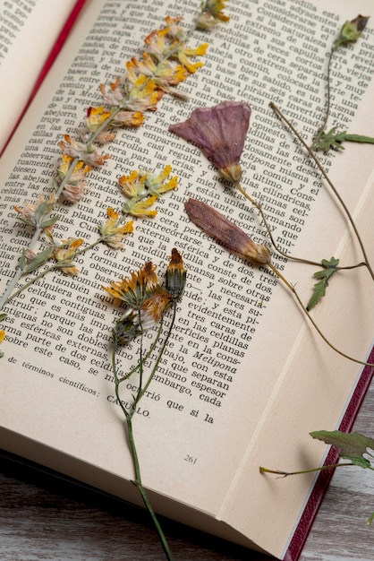 Prensa de flores vista superior con libro