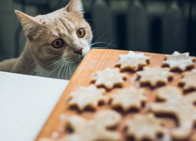 Preparación de pastelería para pan de jengibre.