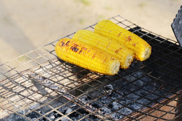 Preparando comida para picnic