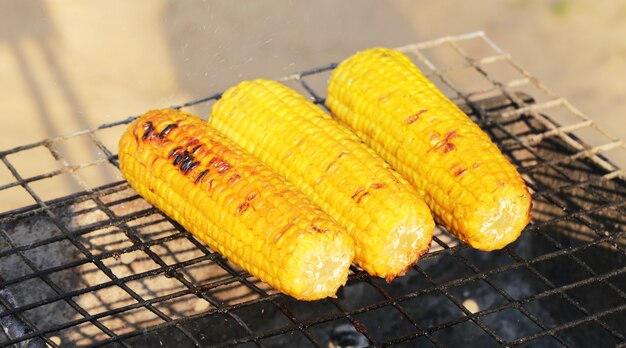 Preparando comida para picnic